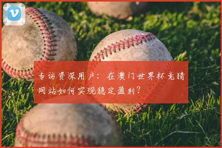 专访资深用户：在澳门世界杯竞猜网站如何实现稳定盈利？