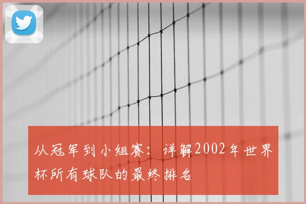 从冠军到小组赛:详解2002年世界杯所有球队的最终排名