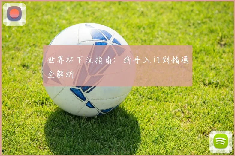 世界杯下注指南:新手入门到精通全解析