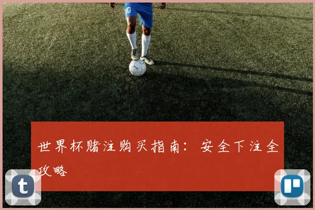 世界杯赌注购买指南:安全下注全攻略