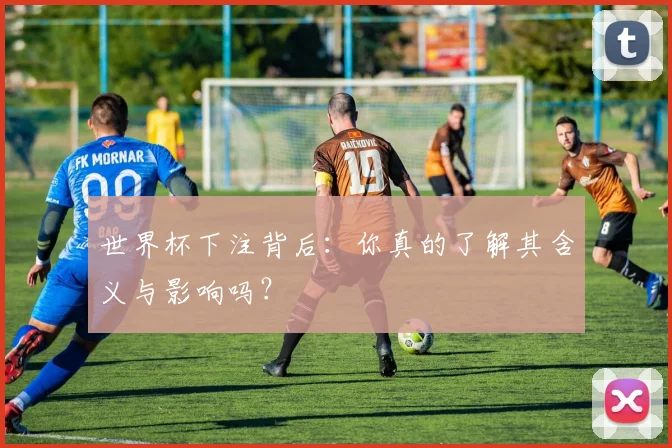 世界杯下注背后：你真的了解其含义与影响吗？