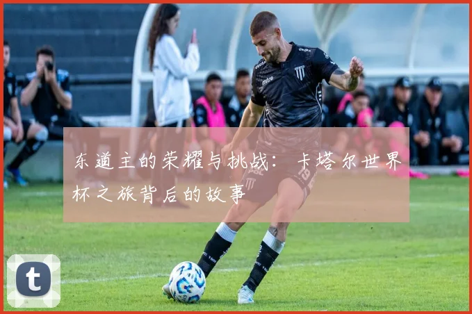 东道主的荣耀与挑战:卡塔尔世界杯之旅背后的故事