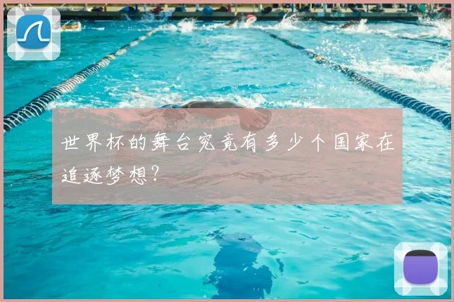 世界杯的舞台究竟有多少个国家在追逐梦想?