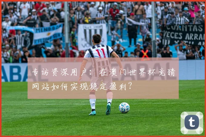 专访资深用户：在澳门世界杯竞猜网站如何实现稳定盈利？