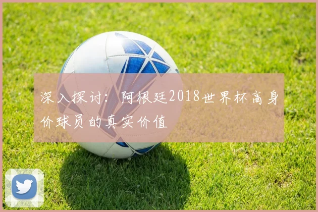 深入探讨：阿根廷2018世界杯高身价球员的真实价值