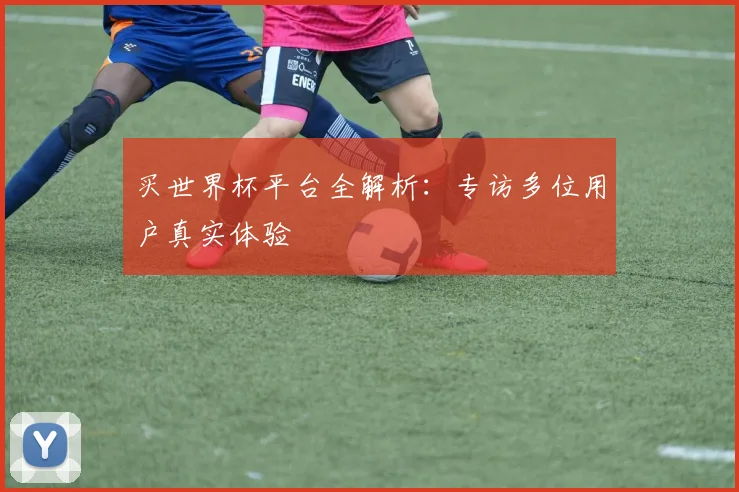 买世界杯平台全解析：专访多位用户真实体验